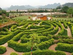 -南宁花花大世界景区
