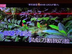 -好乐迪KTV(紫荆广场店)