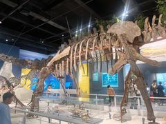 -国家自然博物馆