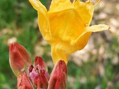 -猫记风味小吃店(永和里店)