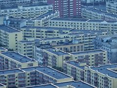 -龙塔