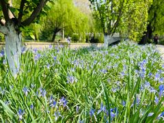 -元大都城垣遗址公园