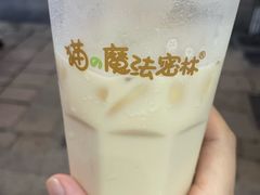 -猫的魔法密林(衣裳街店)