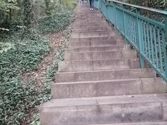 -大蜀山国家森林公园