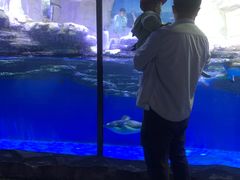 -华夏文旅海洋公园