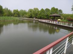 -同里国家湿地公园