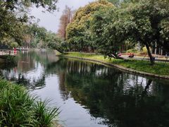 -晓港公园