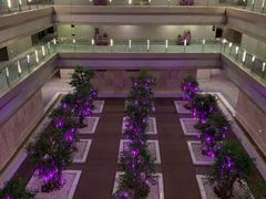 -南京禄口机场雅高铂尔曼大酒店