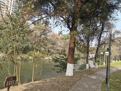 -塔子山公园