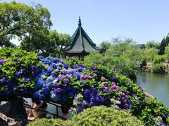 -无锡蠡湖国家湿地公园-蠡园