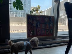 -百好乐宠物友好餐厅(朝外大街店)