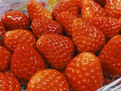 -e佳鲜果(四方坪店)