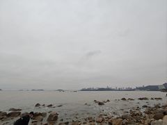 -野狸岛