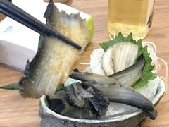 -一本钓鲔鱼屋