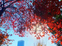 -长安文化生态公园