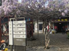 -洛阳市牡丹公园