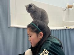 -1013 PET SHOP 宠物商店(近铁城市广场店)