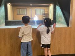 -四川宋瓷博物馆