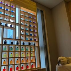 -彩虹之门健康管理