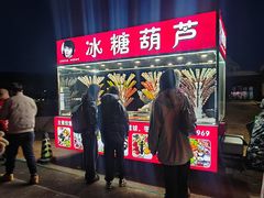 -蓟洲国际滑雪场