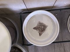 -海边的猫和咖啡馆