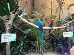 -杭州开元森泊度假乐园