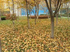 -长安大学(北校区)