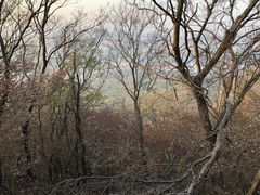 -紫金山山顶公园
