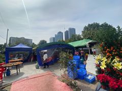 -大眼强五杯鹅饭店