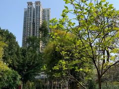 -晓港公园