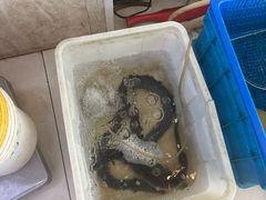 -水韵·渔家臻品私房菜(中庙店)