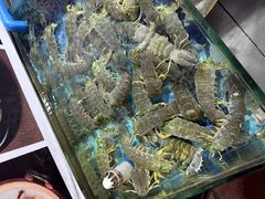-粤盛海鲜平价店(洛溪食街店)