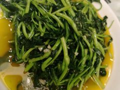 鸡毛菜-金春禧(世茂国际广场店)