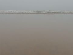 -日照海滨国家森林公园