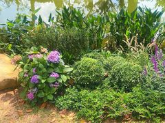 -人民公园(罗湖区)