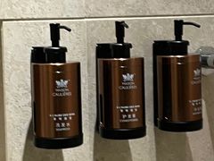 -海南清水湾莱佛士酒店