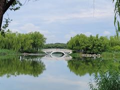 -大兴滨河森林公园