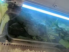 -成老灶火锅鸡(平山店)