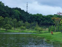 -东莞植物园