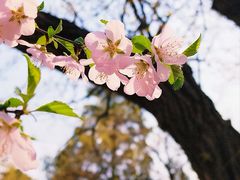 -大觉寺-停车场