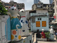 -猫咪博物馆(顶澳仔猫街店)