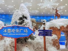 -长沙湘江冰雪世界