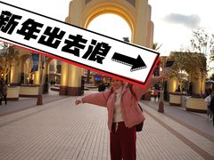 -飞天翼龙