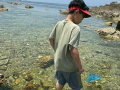 -养马岛旅游度假区