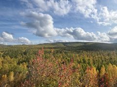 -莫尔道嘎国家森林公园