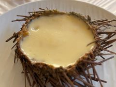 海胆蒸蛋-宾朋海鲜饭庄(兴海路店)