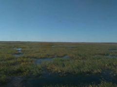 -三江平原湿地宣教馆