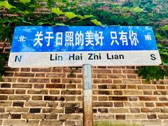 -日照海滨国家森林公园