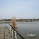 小草也刚刚露出头，但是随手一拍画面依然很美！