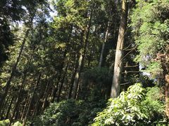 -井冈山风景名胜区-黄洋界